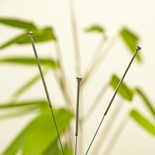 Acupuncture Needles with greenery in the background.